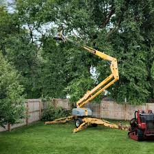 Best Fruit Tree Pruning  in Ellenton, FL